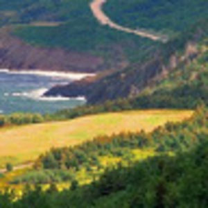 Meet your Posher, J. sharon